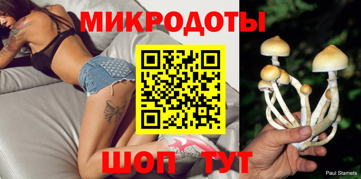 Чусовой  Галлюциногенные грибы Psilocybe  Вход с VPN 