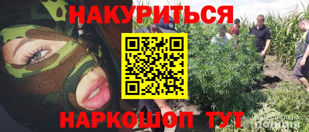Бошки Шишки ГИДРОПОН  Конопля Bruce Banner  Вход с VPN  Канабис конопля  Чусовой 
